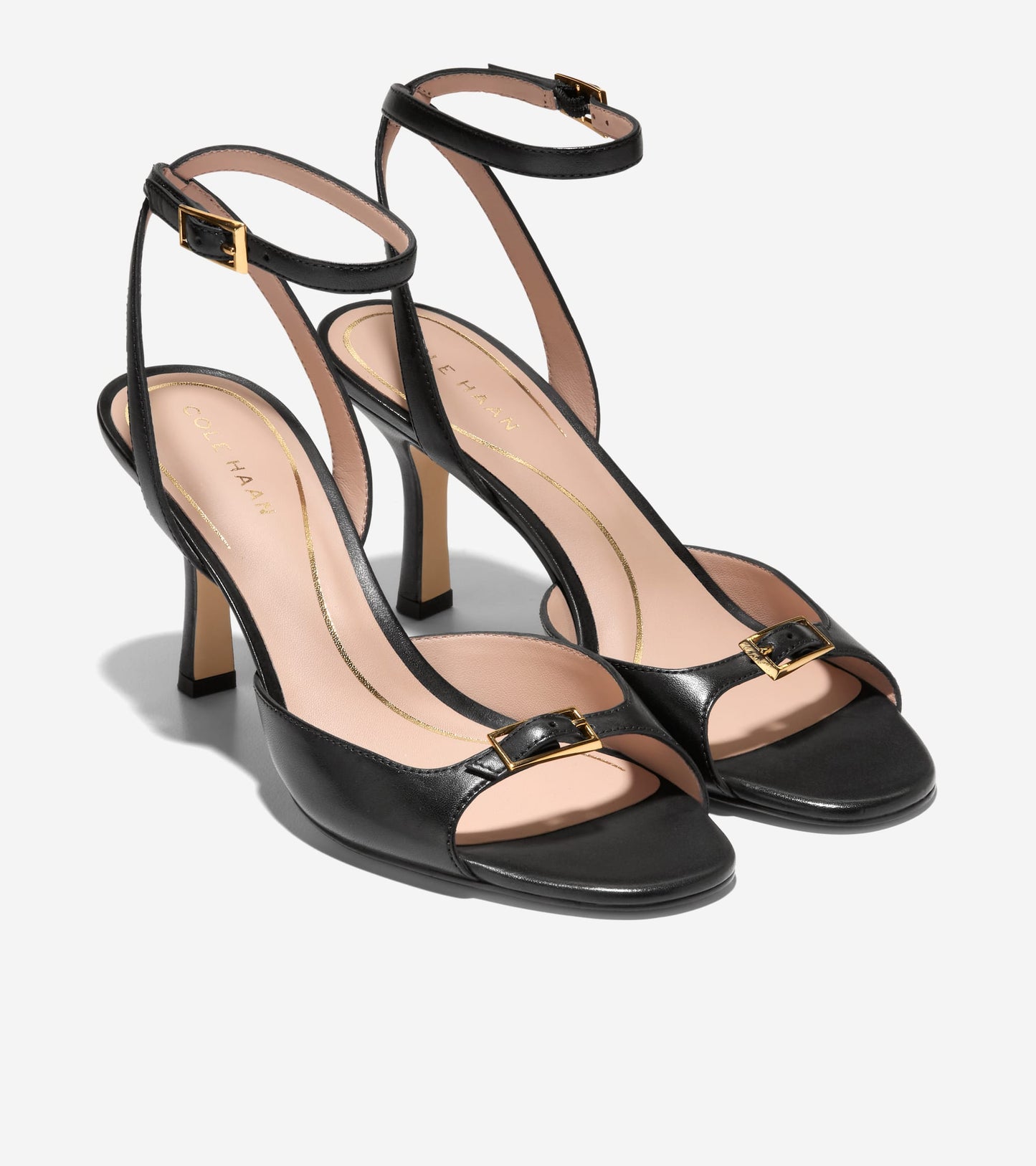 W33995:BLACK LTR