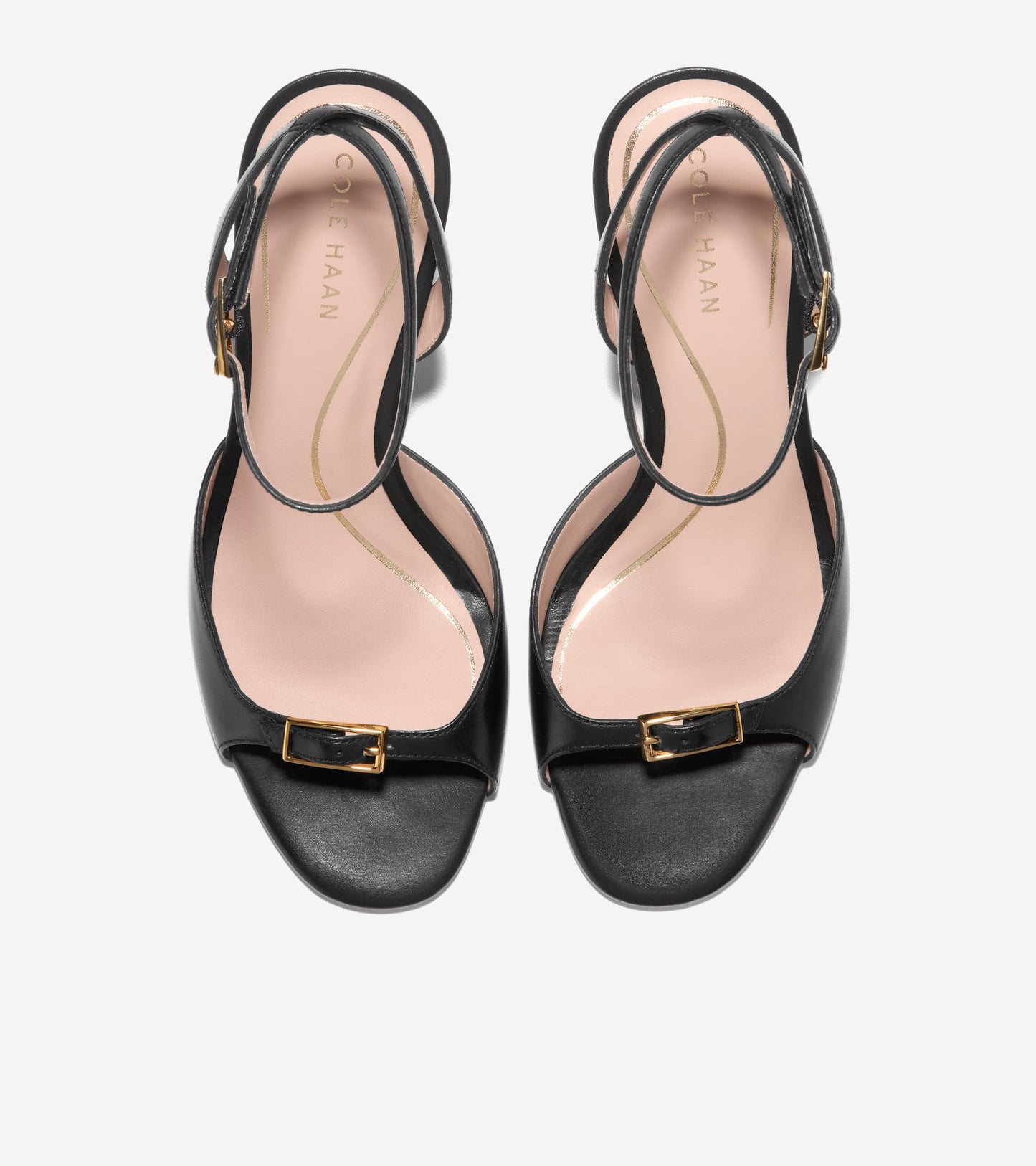 W33995:BLACK LTR