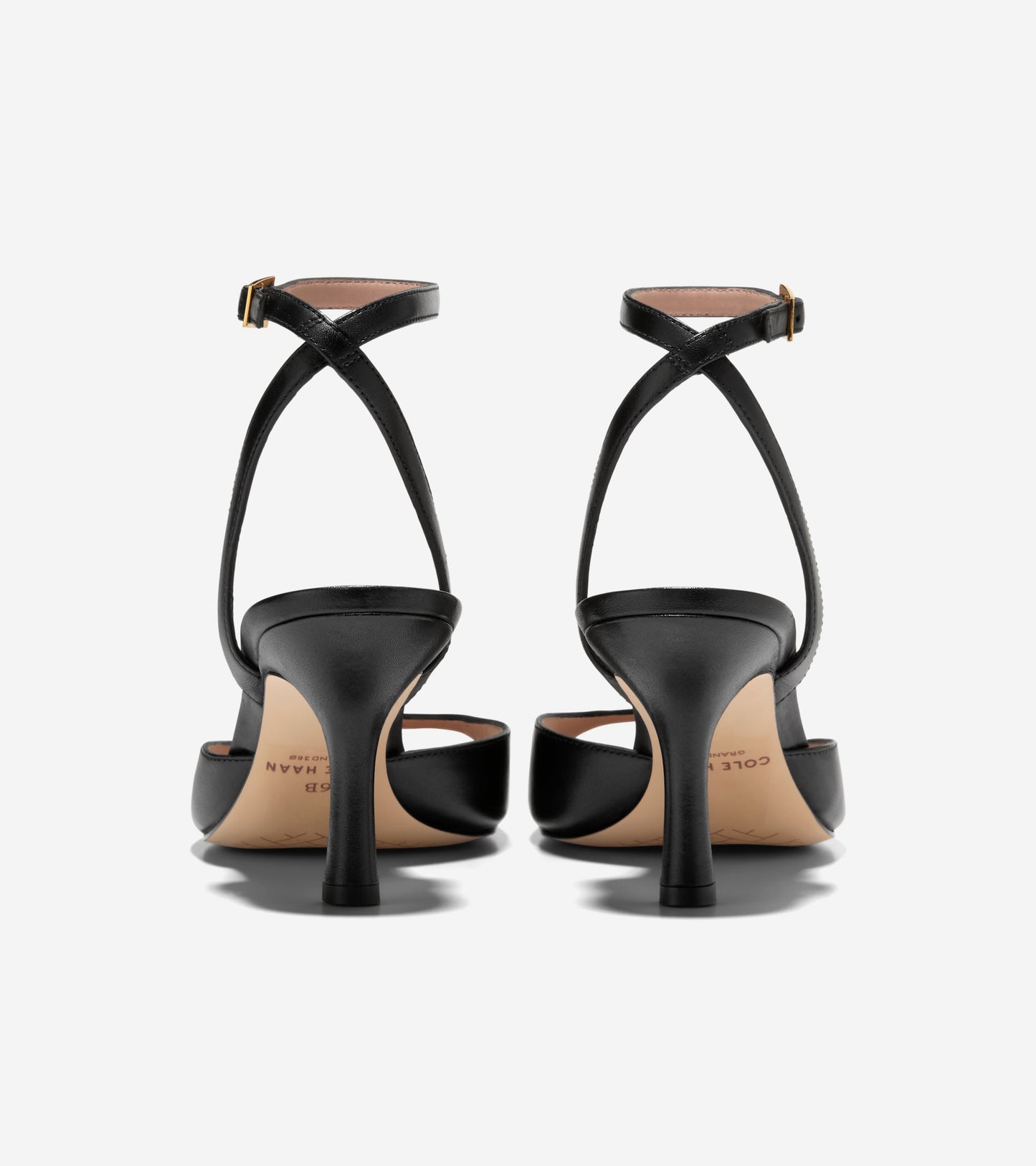W33995:BLACK LTR