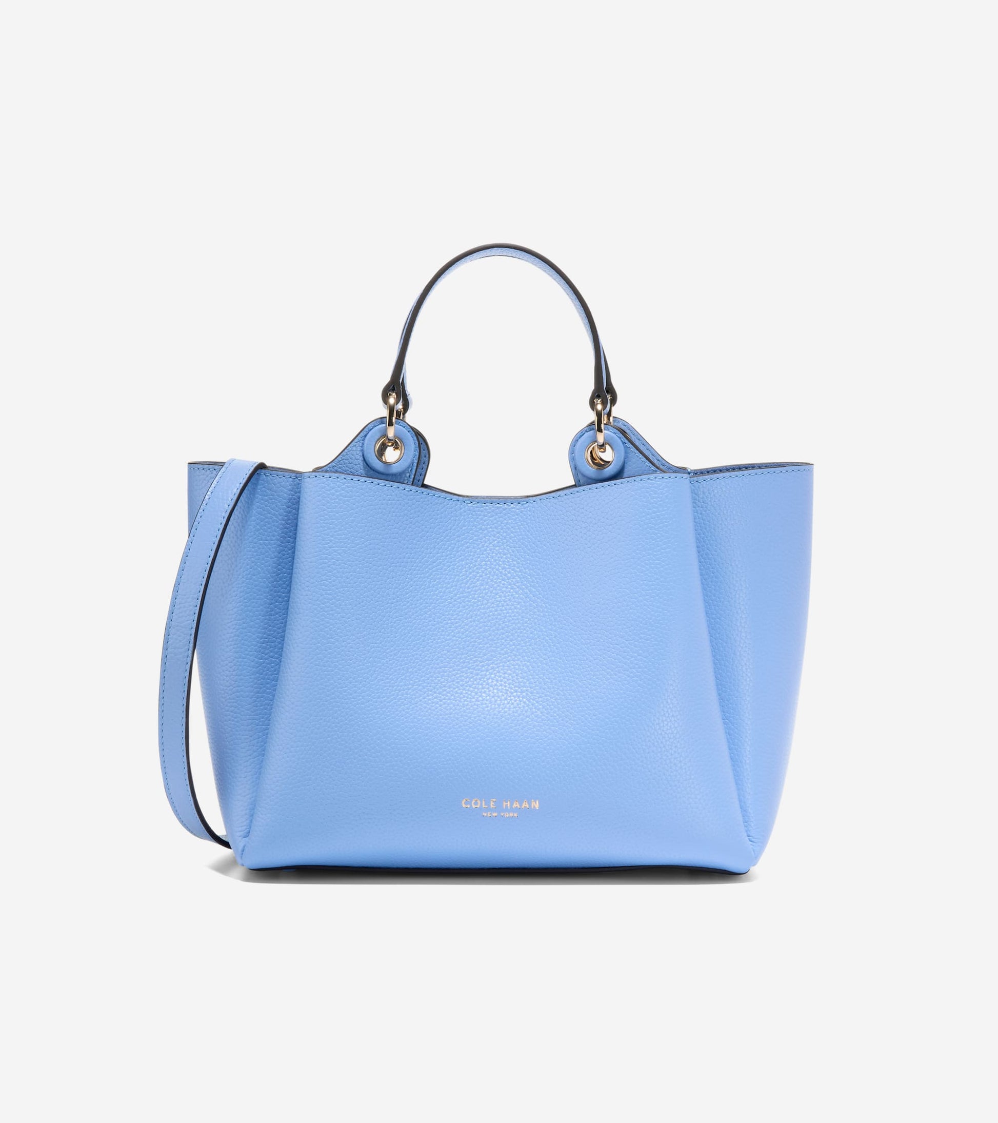 U08237:HYDRANGEA:0000