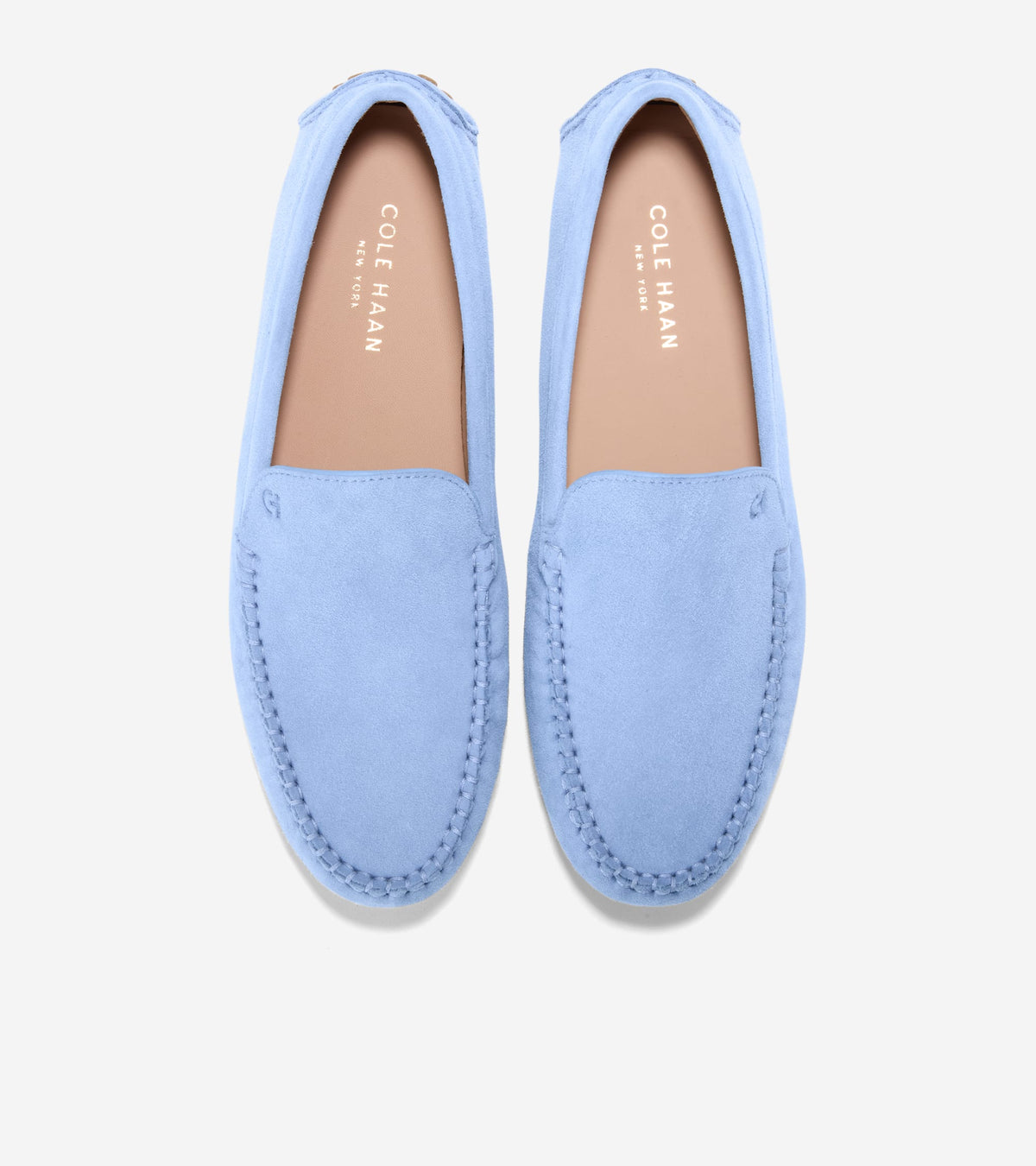 W37029:HYDRANGEA SUEDE