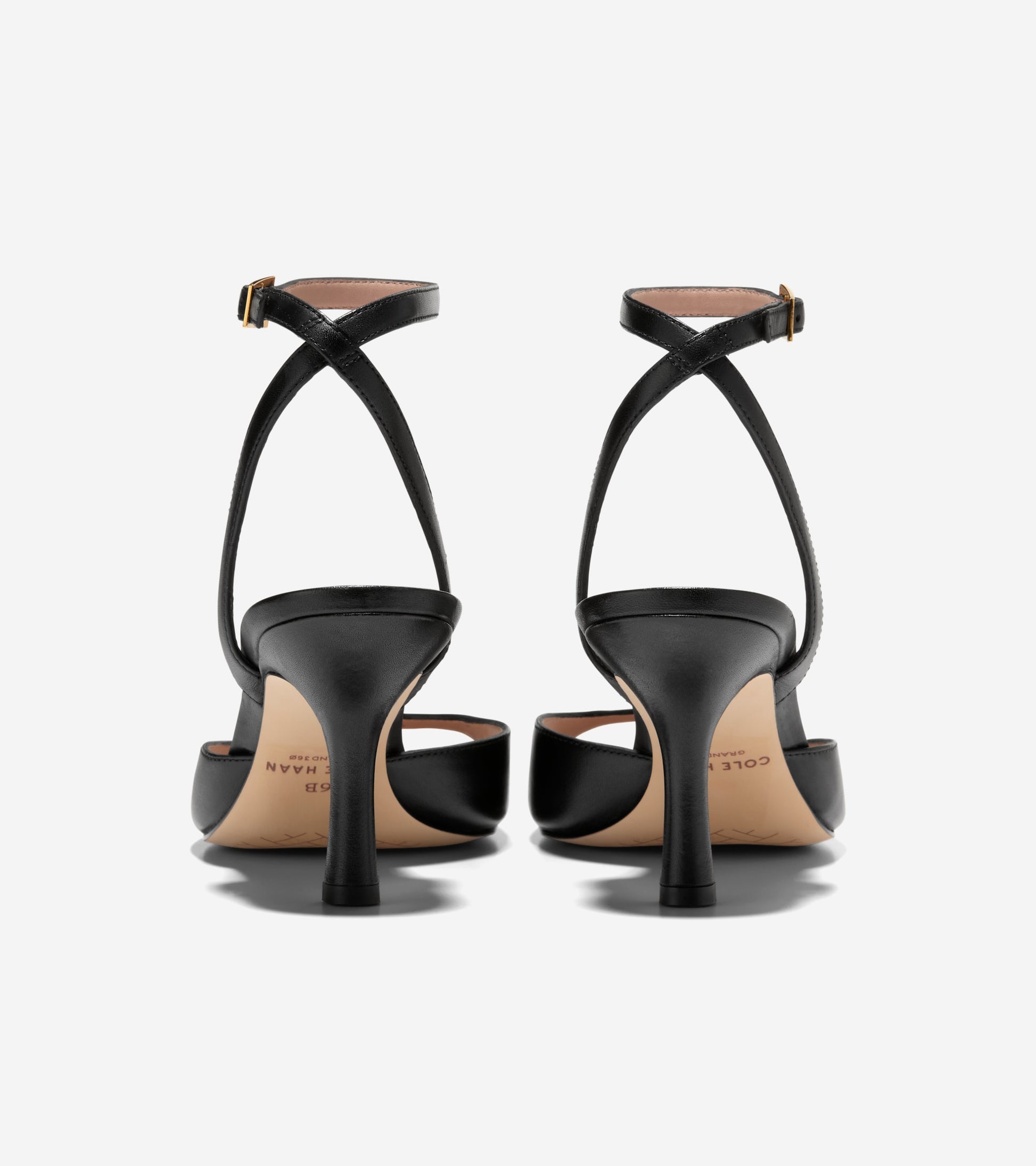 W33995:BLACK LTR