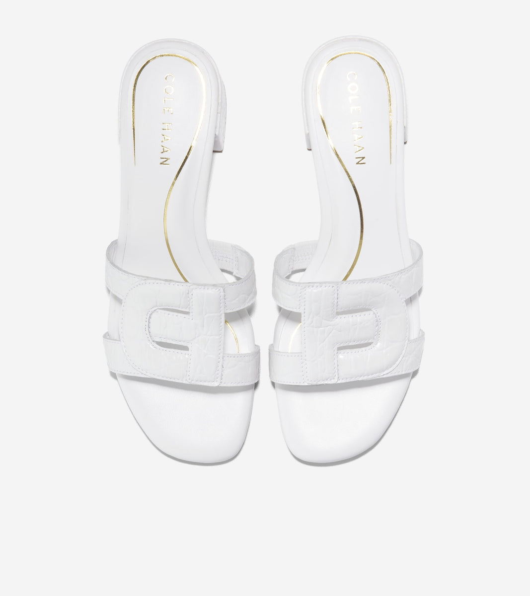 W31613:WHITE CROC PRT LTR