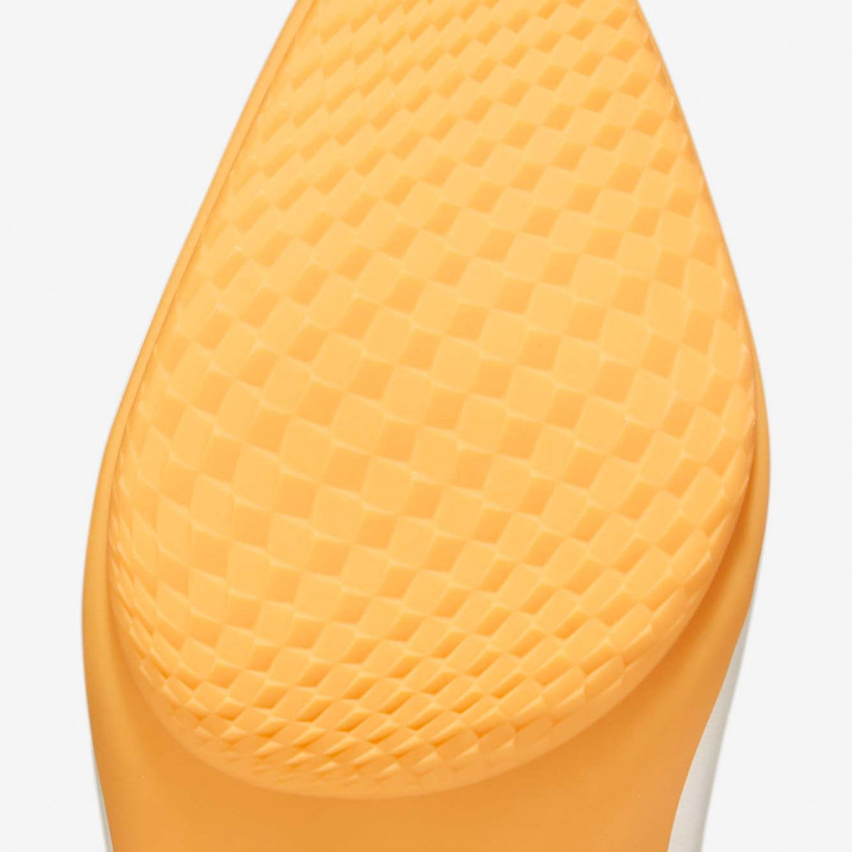 Feature Image 3